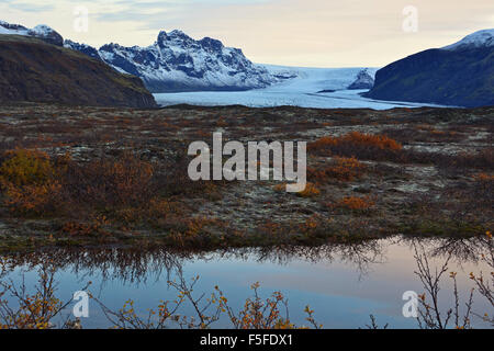 Skaftafell NP spiegelt sich in einem Teich in der Morgendämmerung, Island Stockfoto