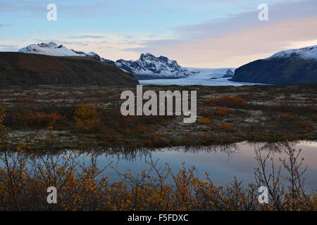 Skaftafell NP spiegelt sich in einem Teich in der Morgendämmerung, Island Stockfoto