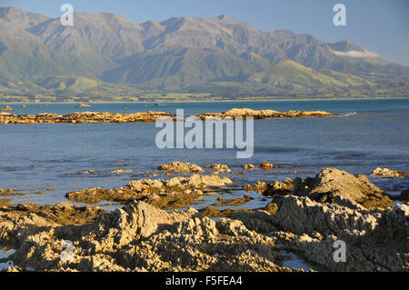 Kaikoura Bay Küste und Gebirge, Kaikoura, Südinsel, Neuseeland Stockfoto