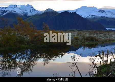 Skaftafell NP spiegelt sich in einem Teich in der Morgendämmerung, Island Stockfoto