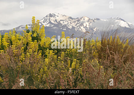 Mt. Ruapehu, Tongariro Nationalpark, Nordinsel, Neuseeland Stockfoto