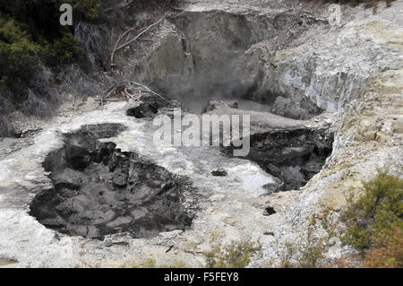 Kochende Schlammpfützen, an Waiotapu Thermal Wonderland, Nordinsel, Rotorua, Neuseeland Stockfoto