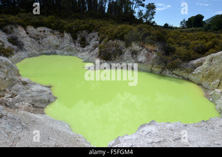 Des Teufels Bad, Waiotapu Thermal Wonderland, Rotorua, Nordinsel, Neuseeland Stockfoto