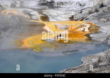 Thermalquelle, Whakarewarewa Maori Dorf, Rotorua, Nordinsel, Neuseeland Stockfoto