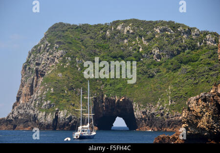 Torbogen Island, Tawhiti Rahi, Poor Knights Islands Natur Reservat, Bay of Islands, Nordinsel, Neuseeland Stockfoto