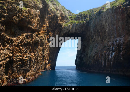 Torbogen Island, Tawhiti Rahi, Poor Knights Islands Natur Reservat, Bay of Islands, Nordinsel, Neuseeland Stockfoto