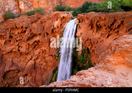 Majestic Mooney Fälle auf die Havasupai Indian Reservation in den Grand Canyon, Arizona, USA Stockfoto