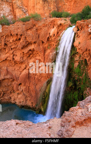 Majestic Mooney Fälle auf die Havasupai Indian Reservation in den Grand Canyon, Arizona, USA Stockfoto