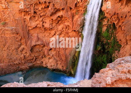 Majestic Mooney Fälle auf die Havasupai Indian Reservation in den Grand Canyon, Arizona, USA Stockfoto