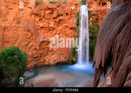 Majestic Mooney Fälle auf die Havasupai Indian Reservation in den Grand Canyon, Arizona, USA Stockfoto