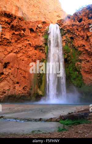 Majestic Mooney Fälle auf die Havasupai Indian Reservation in den Grand Canyon, Arizona, USA Stockfoto