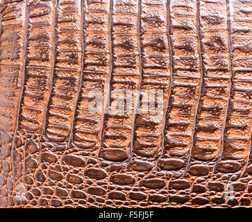 Krokodilleder Lederstruktur Stockfoto