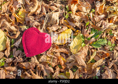 Rotes Herz unter roten Herbstlaub auf den abgefallenen Blättern. Liebevolle Herbst Hintergrund Stockfoto