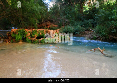 Majestätische Wasserfälle, blaue Wasser und die schöne Landschaft auf der Havasupai Indian Reservation in den Grand Canyon, Arizona, USA Stockfoto