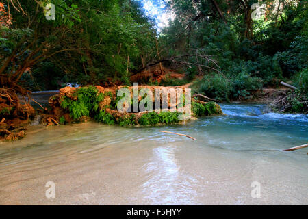 Majestätische Wasserfälle, blaue Wasser und die schöne Landschaft auf der Havasupai Indian Reservation in den Grand Canyon, Arizona, USA Stockfoto