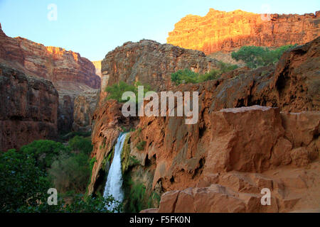 Majestätische Havasu fällt in der Havasupai-Region des Grand Canyon in Arizona Stockfoto