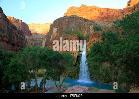 Majestätische Havasu fällt in der Havasupai-Region des Grand Canyon in Arizona Stockfoto