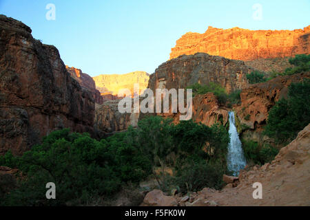 Majestätische Havasu fällt in der Havasupai-Region des Grand Canyon in Arizona Stockfoto