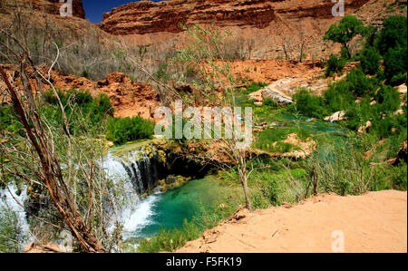 Beaver Creek Teil auf dem Weg nach Havasu Fälle auf die Havasupai Indian Reservation in Arizona Stockfoto