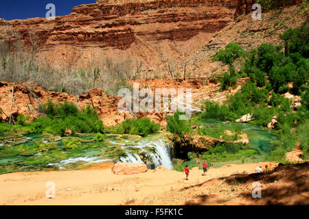 Beaver Creek Teil auf dem Weg nach Havasu Fälle auf die Havasupai Indian Reservation in Arizona Stockfoto