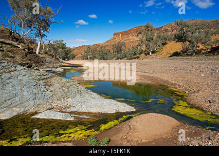 Atemberaubende outback Landschaft in Flinders Ranges, Schlucht blauen Wasserbecken am Fuße des felsigen Hügeln der Mount Kammern unter blauem Himmel in South Australia Stockfoto