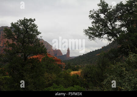 Schöne natürliche rote Sandstein-Formationen im Coconino National Forest von Sedona, Arizona Stockfoto