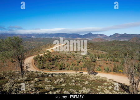 Kurvenreiche Ridgeback Straße durch zerklüftete Hügellandschaft der Flinders Ranges National Park, Berggipfel am Horizont in Süd-Australien outback Stockfoto