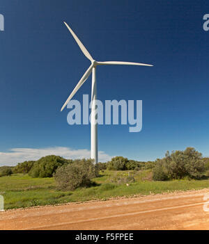 Windturbine steigt unter einheimischer Vegetation neben Straße in blauen Himmel im Windpark Flechtwerk Punkt auf Yorke Peninsula SA Stockfoto