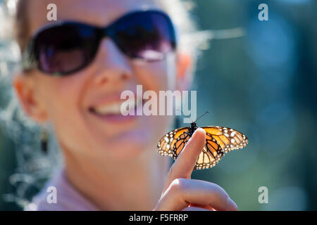 Ein Monarch-Schmetterling landet auf eine Frau Hand an das Monarch Heiligtum in Michoacan, Mexiko. Stockfoto
