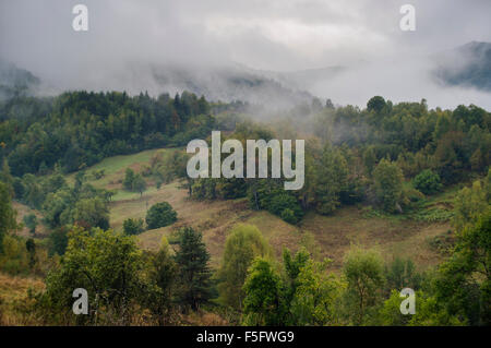 Berggipfel in Wolken von Nebel bedeckt an einem frühen Herbstmorgen. Stockfoto