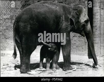 1972 - dänische Elefantenbulle '' Cheing Mai'' hat getan es wieder die berühmten dänischen Elefantenbulle '' Cheing Mai'' hat es wieder getan. vor Tagen wurde eine neue Elefanten im Zoo von Kopenhagen geboren. Dies allein ist eine Sensation, da sie nur sehr selten in Gefangenschaft zu züchten. Aber '' Cheing Mai'' hat eine besondere Temperament, er behandelt die weiblichen Elefanten mit Sorgfalt in einer solchen Weise er immer seiner Spezies wächst. Zoos von auf der ganzen Welt senden ihre weiblichen Elefanten mit ihm zu Paaren. Foto zeigt:-Elefantenbulle '' Cheing Mai'' mit seinem neuesten ab Frühjahr im Zoo von Kopenhagen. (Kredit-Bild: © Keystone Bilder USA/ZUMAPR Stockfoto