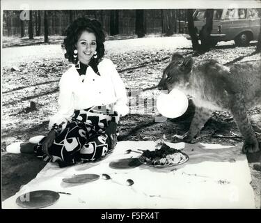 1972 - die Löwin mit A scharfe Nase für A Picnic: Joanna Cox wurde für eine angenehme Picknick am Ashtons Löwenpark, Brisbane, Australien zu setzen. Huhn, Schinken, Salat (mit Rettich, natürlich). Die kam Liz die Lizenzen, die ziemlich scharf hat für so etwas Nase. Sie konnte sehen, es gab viel Platz für zwei - und machte einen ziemlich offensichtlichen Hinweis durch das Angebot von Joanna eines Teller geladen werden. Joanna versuchten ihr Glück beim Gängelei, aber Liz entschieden, gab es eigentlich nur genug für ein, nachdem alle - und übernahm das ganze Picknick. Aber wenn Sie auf eine gute Sache sind, finden Sie immer eine Packung Schädlingsarten Stockfoto