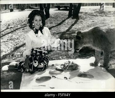 1972 - die Löwin mit A scharfe Nase für A Picnic: Joanna Cox wurde für eine angenehme Picknick am Ashtons Löwenpark, Brisbane, Australien zu setzen. Huhn, Schinken, Salat (mit Rettich, natürlich). Die kam Liz die Lizenzen, die ziemlich scharf hat für so etwas Nase. Sie konnte sehen, es gab viel Platz für zwei - und machte einen ziemlich offensichtlichen Hinweis durch das Angebot von Joanna eines Teller geladen werden. Joanna versuchten ihr Glück beim Gängelei, aber Liz entschieden, gab es eigentlich nur genug für ein, nachdem alle - und übernahm das ganze Picknick. Aber wenn Sie auf eine gute Sache sind, finden Sie immer eine Packung parasi Stockfoto