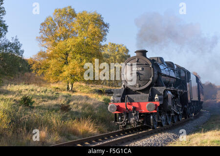 Eine Dampflok auf Fen Moor Naturschutzgebiet, The North Yorkshire Moors, Oktober 2015 Stockfoto