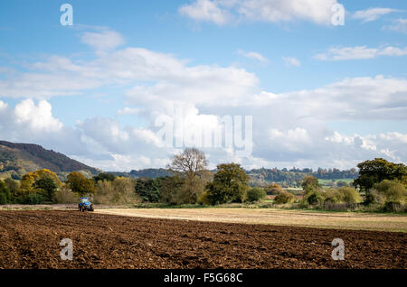 Bebauen das Land nach der Ernte von Mais in einem Feld von Wiltshire im Oktober Stockfoto