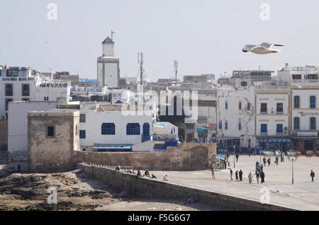 Mit Blick auf den Platz Moulay El Hassan und Medina von Essaouira in Marokko (Ansicht von Skala du Port) Stockfoto