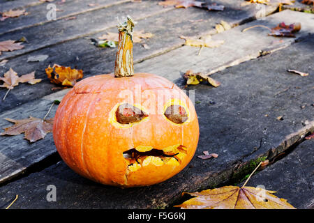 Am Morgen nach einem Halloween Ferienkonzept. Schrecklich hässlich Kürbis auf einem Holzboden mit Ahorn Blätter. Sonniger Tag. Kunst-Fokus Stockfoto