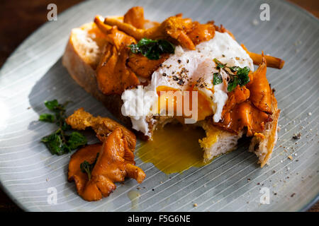 Wilde Girolle Pilzen und pochiertem Ei auf toast Stockfoto