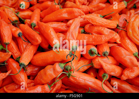 Chili Peppers am Markt in Santiago de Chile. Stockfoto