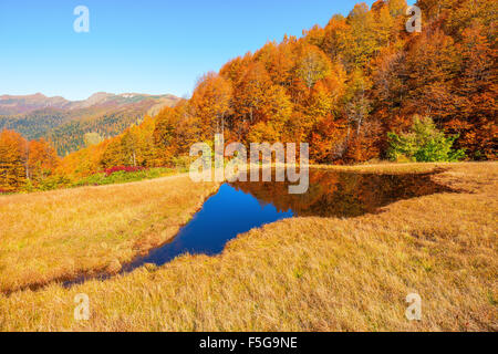 Kleiner See durch die herbstlichen Bergwald. Stockfoto