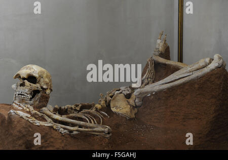 Skelett des Menschen Skhull Höhle (Me'arat Hagedi). Mittleren Paleolithic Periode. Ca. 100.000 Jahre vor der Gegenwart. 40-50 Jahre alt, der Homo Sapiens Sapiens Arcahic. Rockefeller archäologische Museum. Jerusalem. Israel. Stockfoto