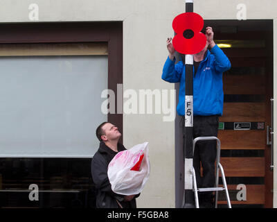 Kingston-London, UK. 4. November 2015. Ein Ranger Kingston legt große rote Mohnblumen auf Laternenpfähle in Vorbereitungen für Erinnerung Sonntag, Tag des Waffenstillstands zu markieren und zu Ehren der britischen Servicepersonal kämpften und starben in früheren militärischen Konflikten Credit: Amer Ghazzal/Alamy Live-Nachrichten Stockfoto