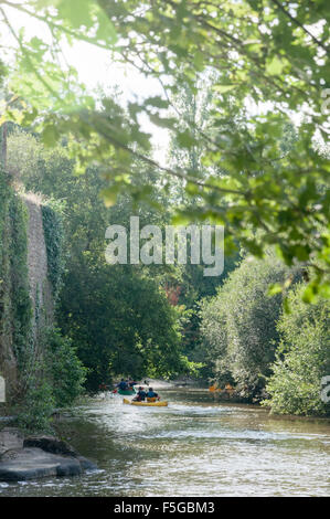 Kanuten auf La Sevre Nantaise, Mallievre, Vallee de Poupet, Frankreich Stockfoto