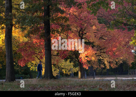 Herbst In New York - leuchtende Herbstfarben schmücken die Landschaft rund um diese Zeit des Jahres in den nordöstlichen Vereinigten Staaten - Gasse Teich Stockfoto