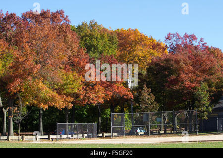 Herbst In New York - leuchtende Herbstfarben schmücken die Landschaft rund um diese Zeit des Jahres im Nordosten - Cunningham Park New York Stockfoto