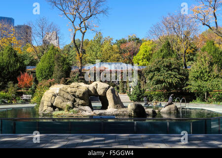 Der Central Park Zoo, NYC, USA Stockfoto