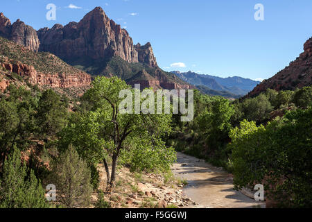 Blick in Richtung North Fork Virgin River, Brücke Berg hinter, Zion Nationalpark, Utah, USA Stockfoto