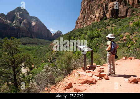 Wanderer, Infotafel, betrachten Blick in Richtung Zion Canyon, Emerald Pools Trail, Zion Nationalpark, Utah, USA Stockfoto