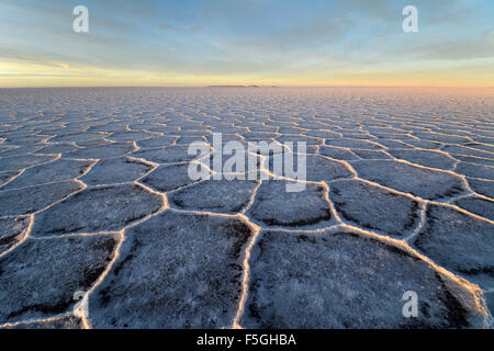 Wabenstruktur auf Salar de Uyuni Salzsee, Morgen, Licht, Altiplano, lipez, Bolivien Stockfoto