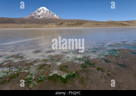 Sajama Vulkan und gefrorenen See auf dem Rio, sajama Sajama Nationalpark, Oruro, Grenze zwischen Bolivien und Chile Stockfoto